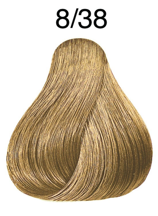 Fő kép